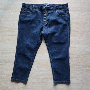 ModCloth Skinny Cropped Jean Button-fly Stretch High Rise Blue Plus Size